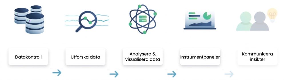 Dataanalysflöde