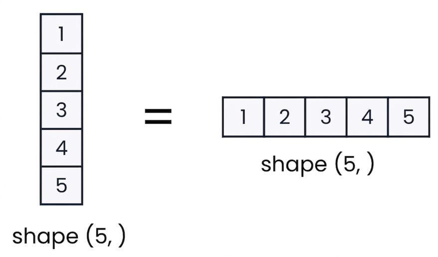 Grafik som visar att 1D-arrayer inte kan vara vertikala eller horisontella i NumPy