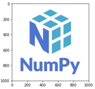 NumPy-logotypen