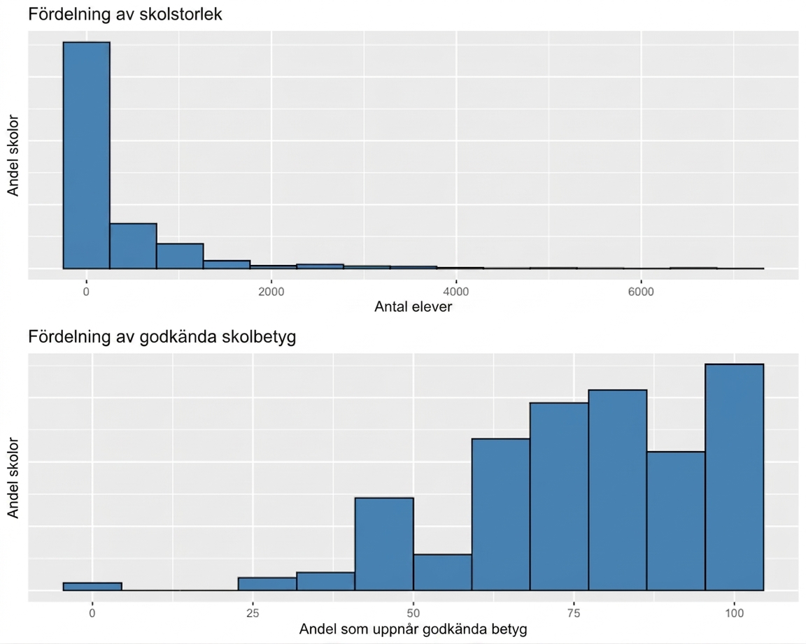 two_distributions_showing_the_distribution_of_school_size_and_the_distribution_of_school_pass_grades.png