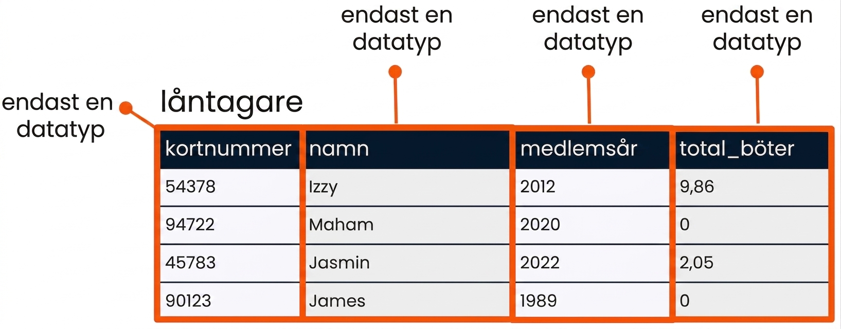 tabellen patrons med varje fält markerat och angivet som en datatyp