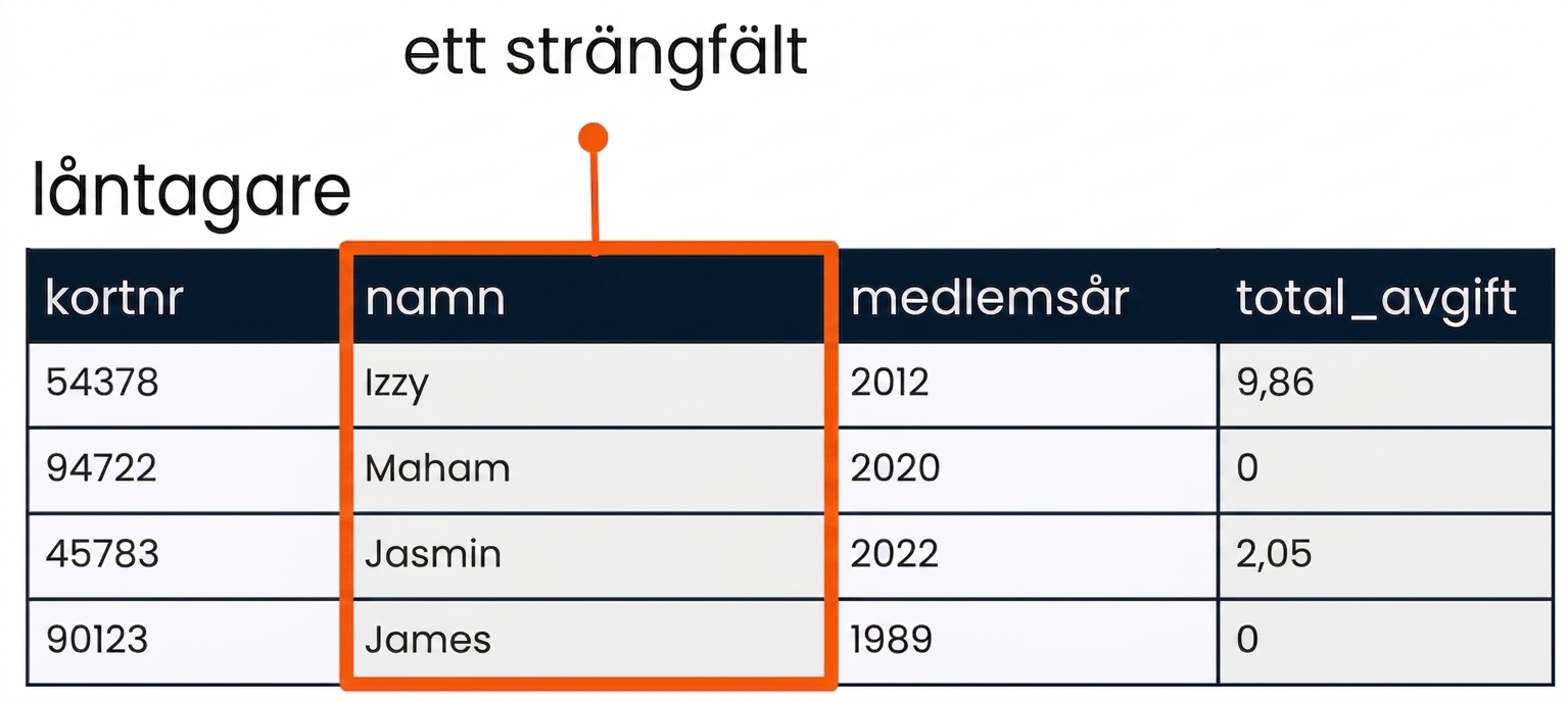 tabellen patrons med fältet name markerat som exempel på ett strängfält