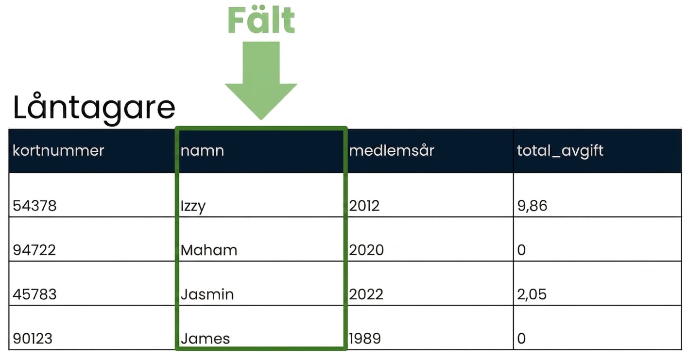 tabellen patrons med ett markerat fält