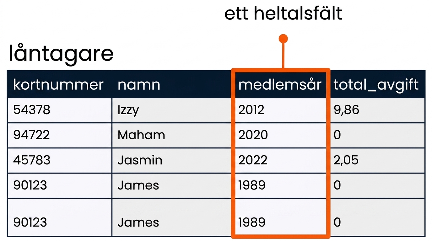 tabellen patrons med fältet member_year markerat som exempel på ett heltalsfält