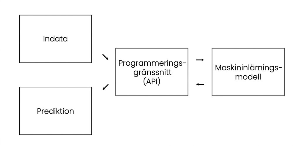 Application programming interface excluding information