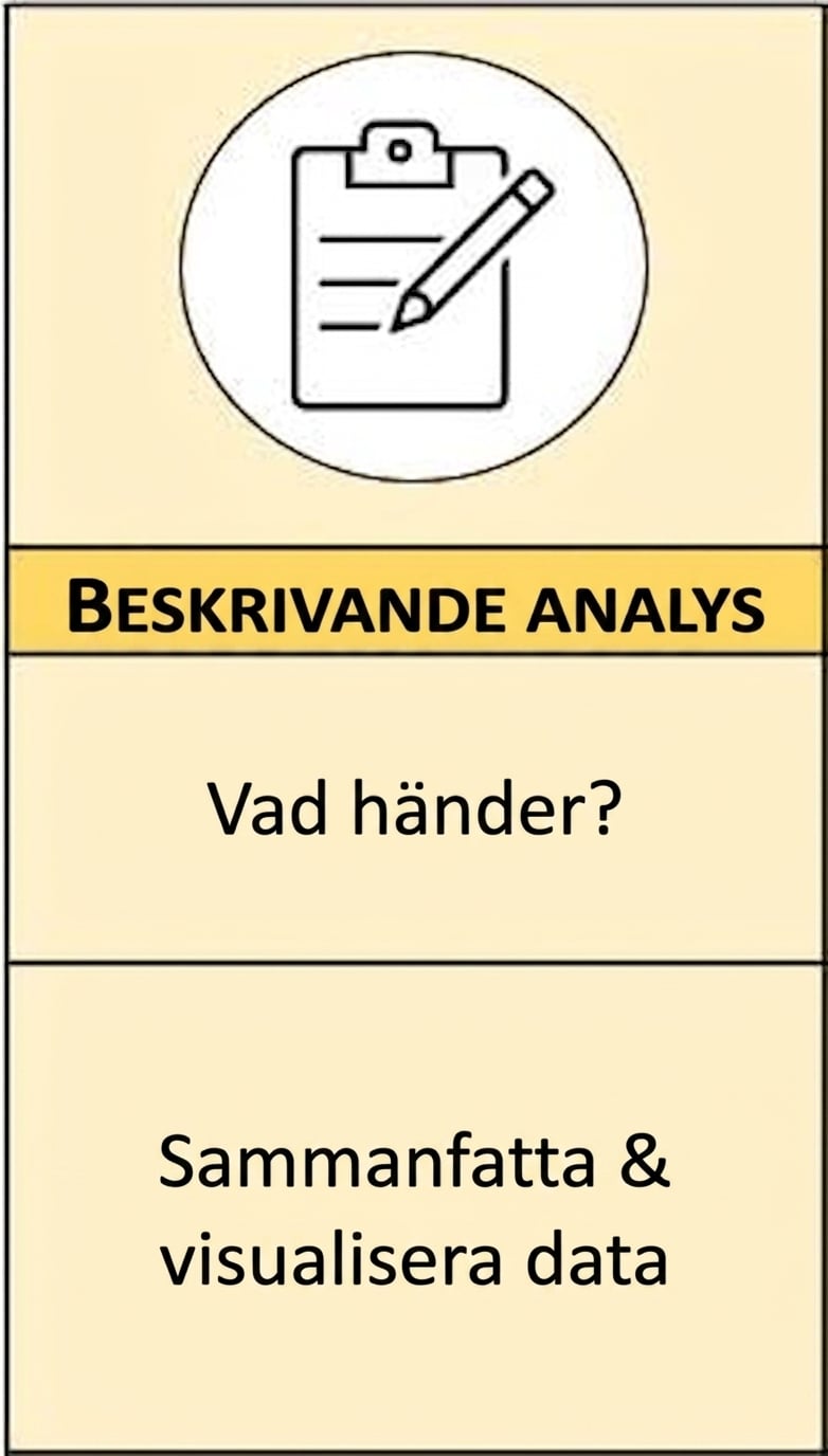 Zoom in på deskriptiv analys