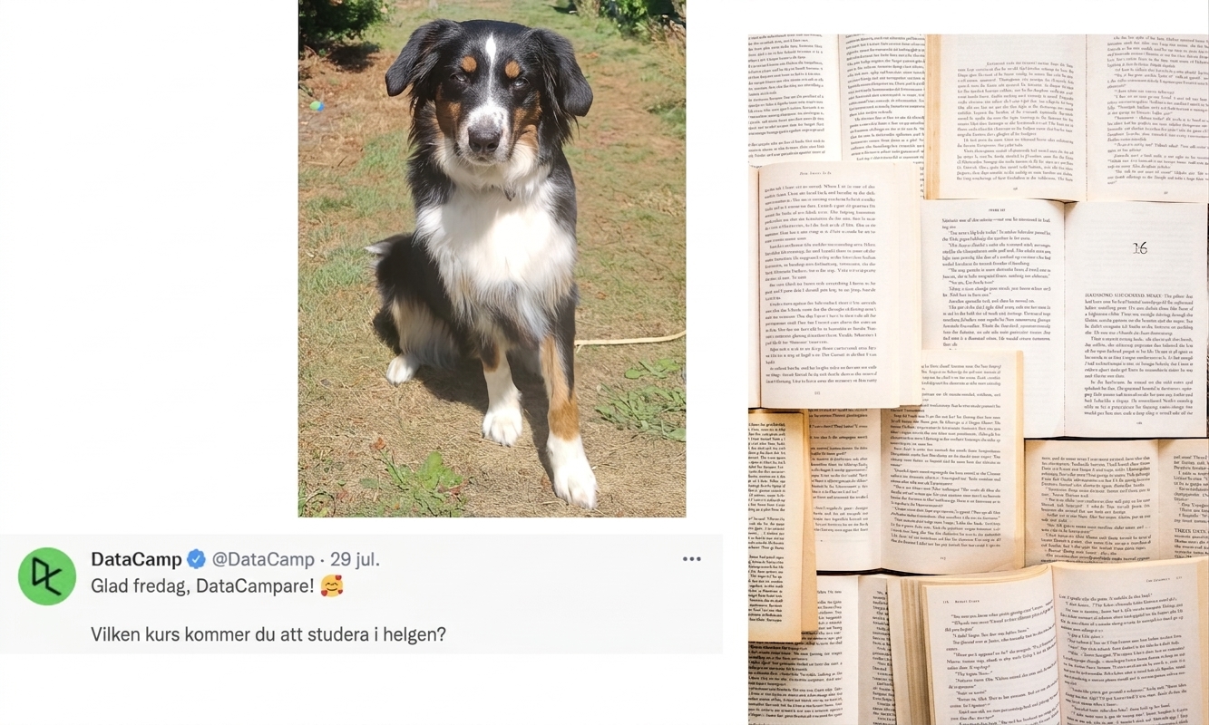 Ett foto på en hund, en samling böcker och ett tweet