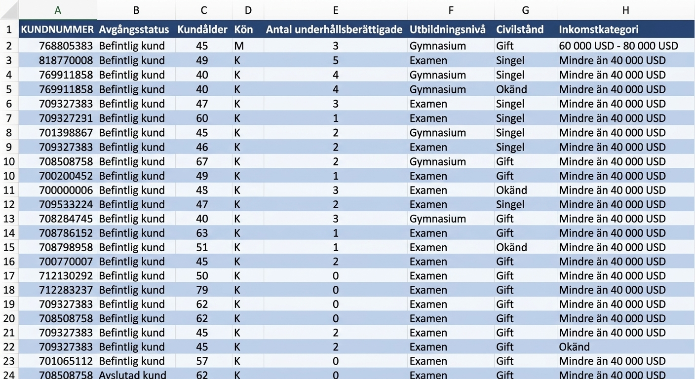 Kalkylbladsdata