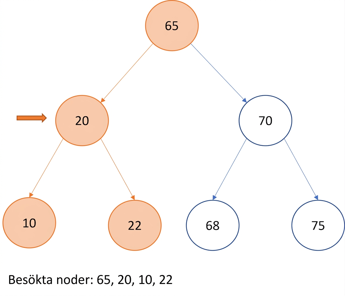 Grafisk representation av pre-order-traversering över ett binärt sökträd.