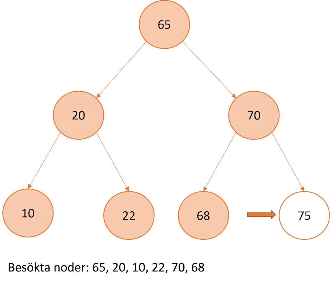 Grafisk representation av pre-order-traversering över ett binärt sökträd.