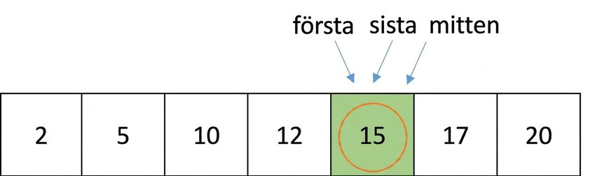 Schematisk bild av en lista med sorterade tal. Talet 15 är inringat.