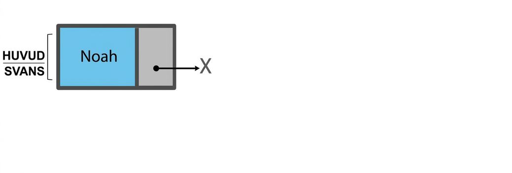 Schematisk representation av en kö med ett element, implementerad med en nod. Orden "head" och "tail" pekar på noden.