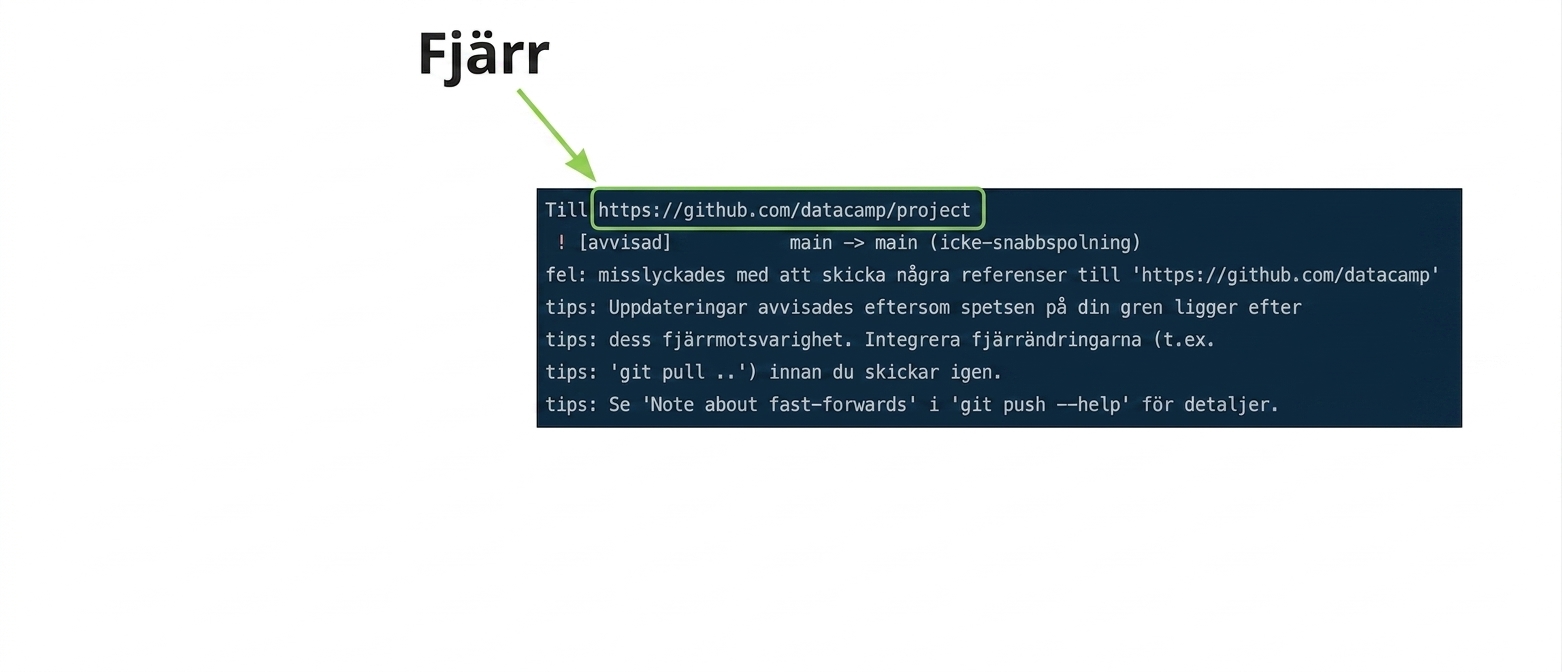 utdata vid nekad git push origin main med kommenterad fjärr-URL