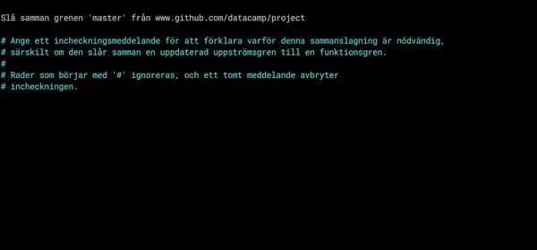 git_pull_nano_editor.gif