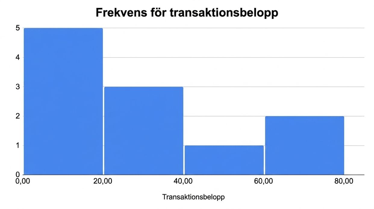 Histogram som visar frekvensen av transaktionsbelopp