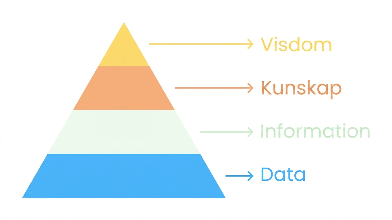 DIKW med data markerat