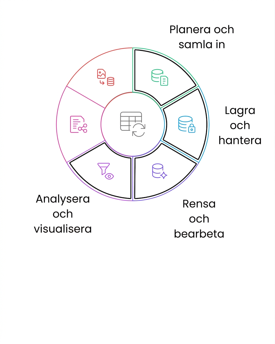 datas livscykel – analysera och visualisera