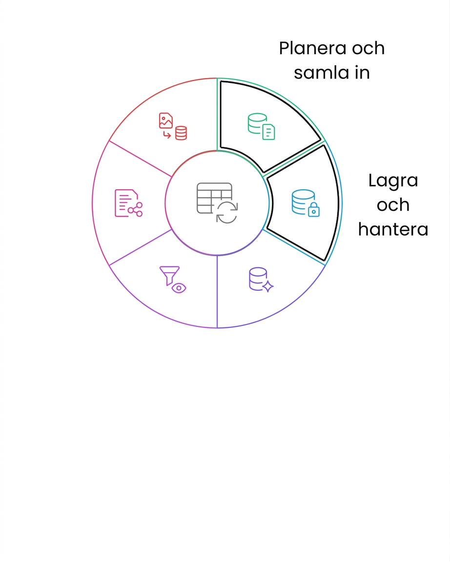 datas livscykel – lagra och hantera