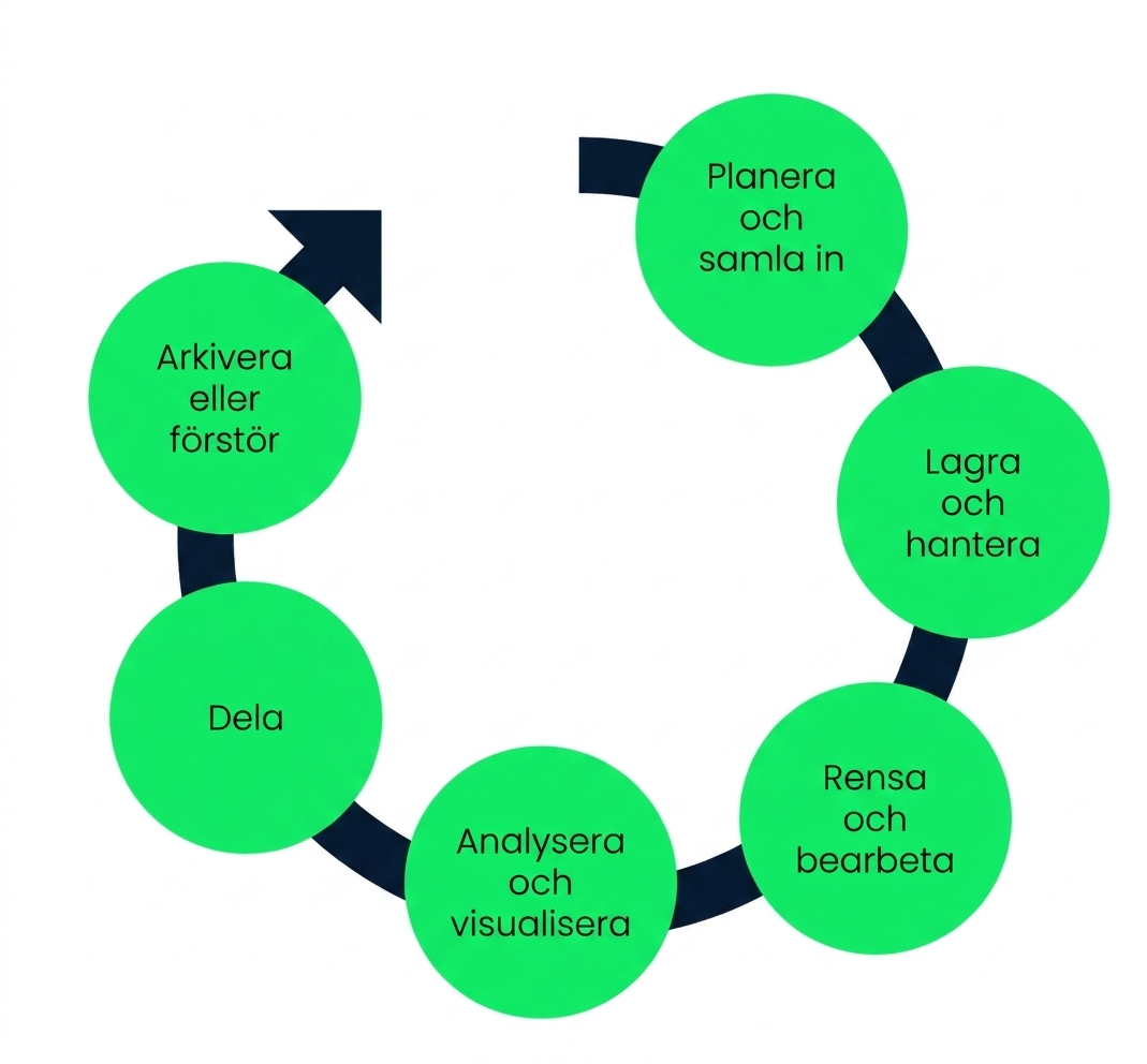 datas livscykel