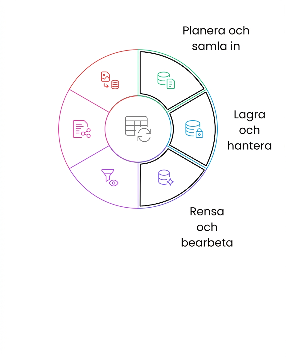 datas livscykel – rensa och bearbeta