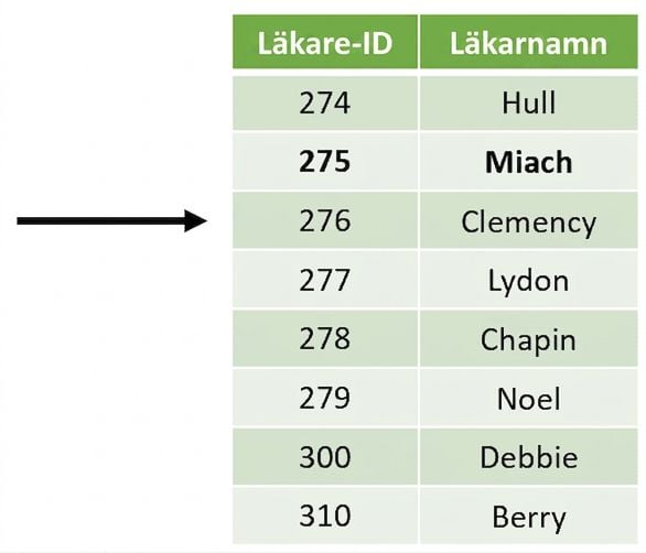 Den slutliga sammanfogade tabellen utan dublettraden