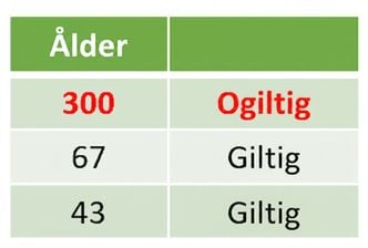Tabell med kolumnen Ålder där första raden visar 300, vilket flaggas som ogiltigt.