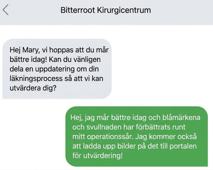 En grafik visar en textmeddelandekonversation via telefon som förmedlar endast väsentlig information på ett tydligt sätt