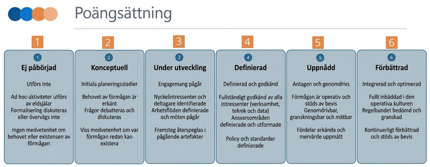 Grafik som visar DCAM:s bedömningsrubrik