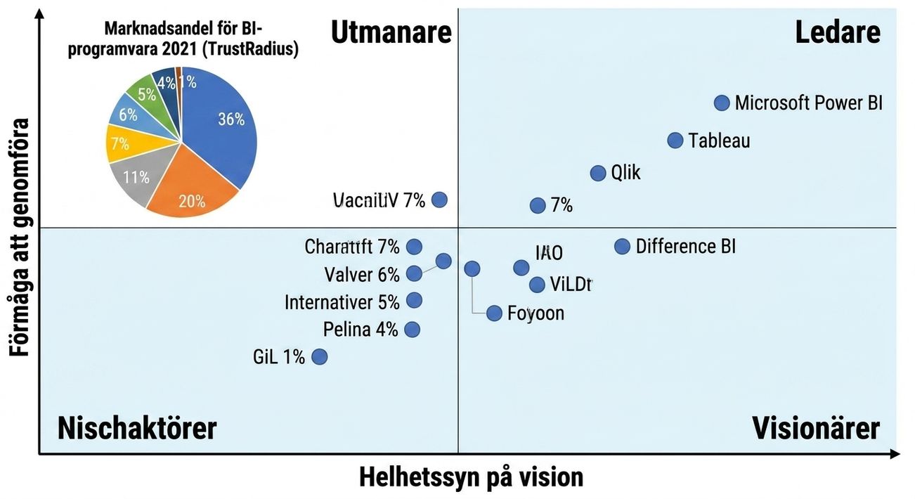 BI-programvara