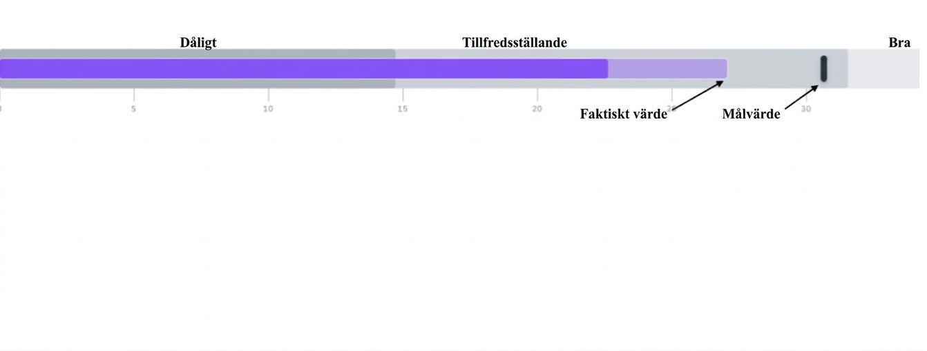 Bullet Graph