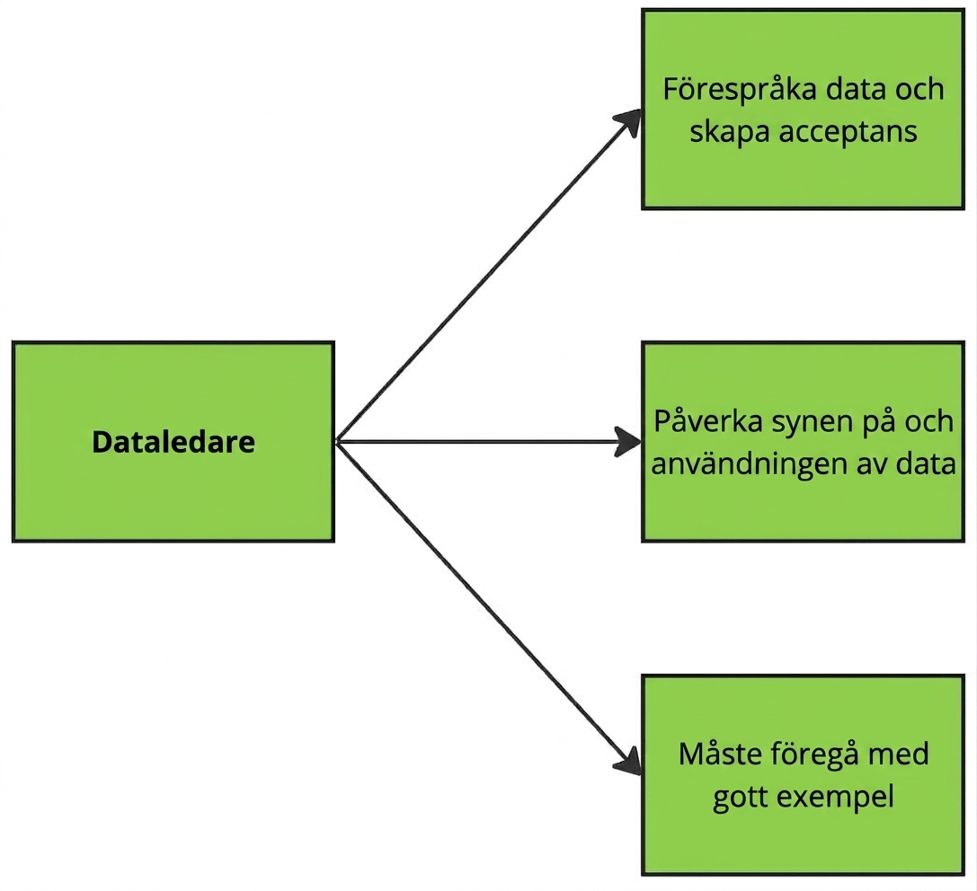 Diagram som illustrerar dataledares uppgifter.