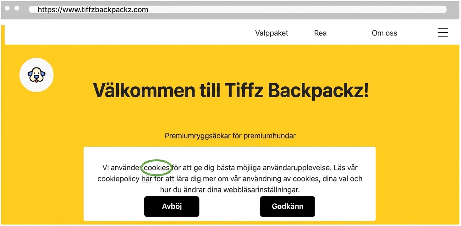 Tiffz Backpackz cookies på landningssidan