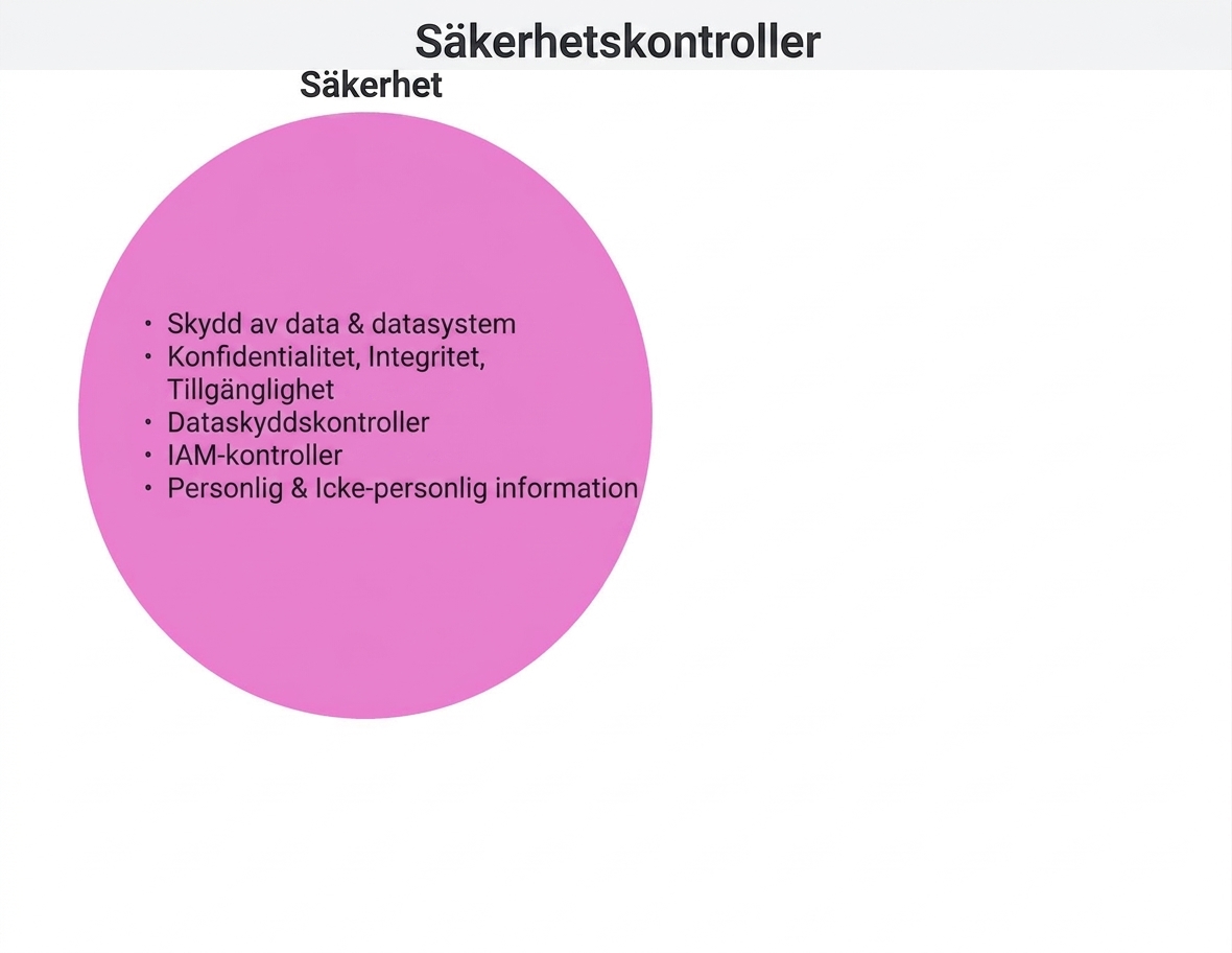 Cirkel med säkerhetskontroller