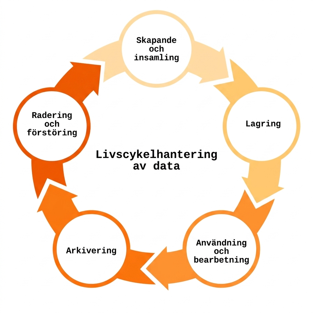Datalivscykelhantering