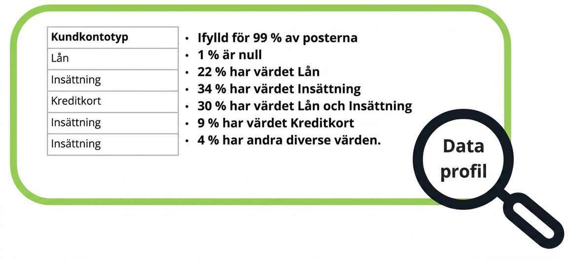 exempel på dataprofil