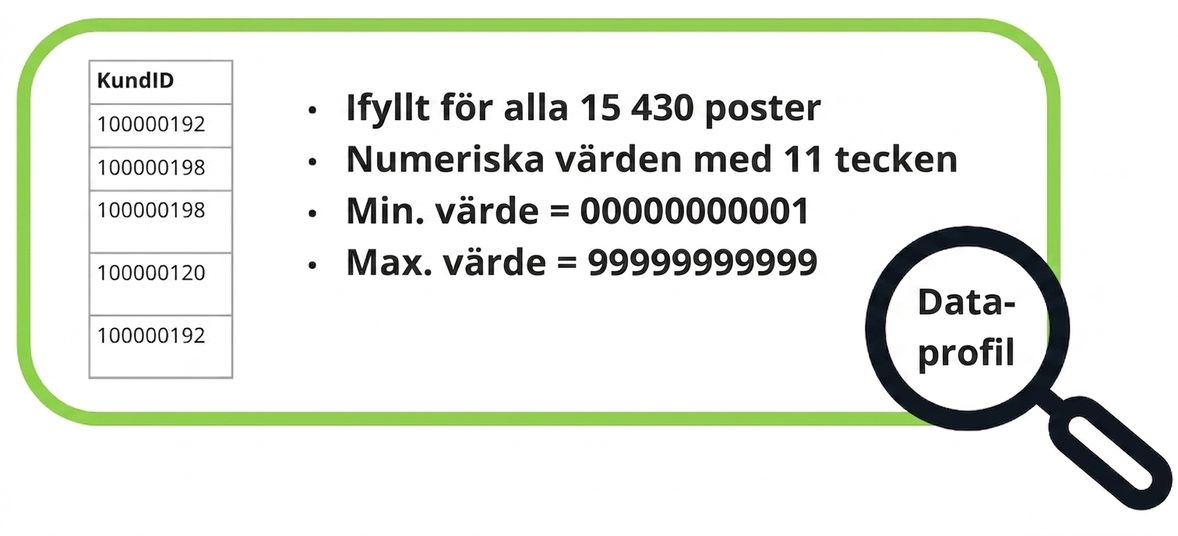 exempel på dataprofil