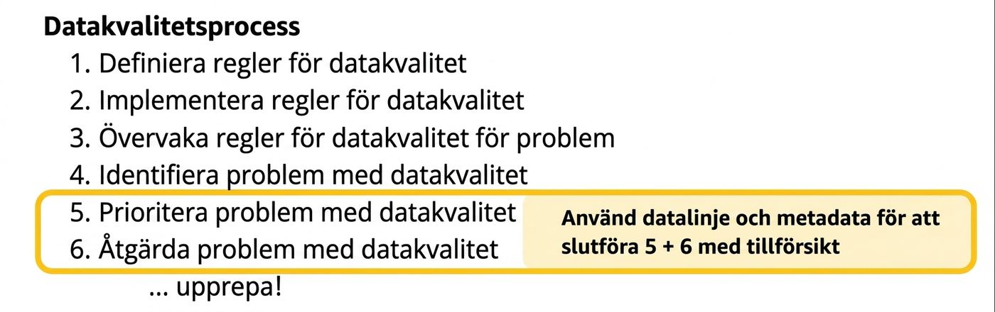 datakvalitetsprocess med fokus på triagering och åtgärdssteg