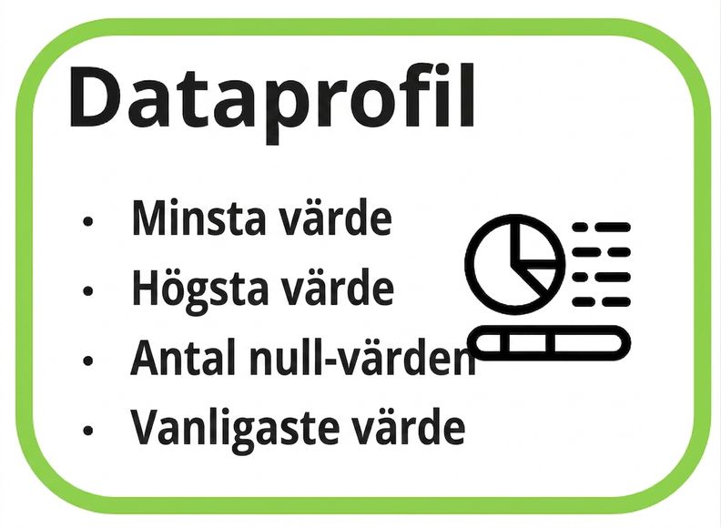 exempel på dataprofil, min, max, antal null-värden