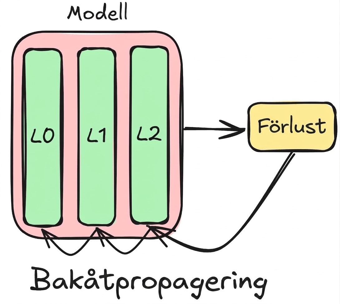 Diagram över backpropagation