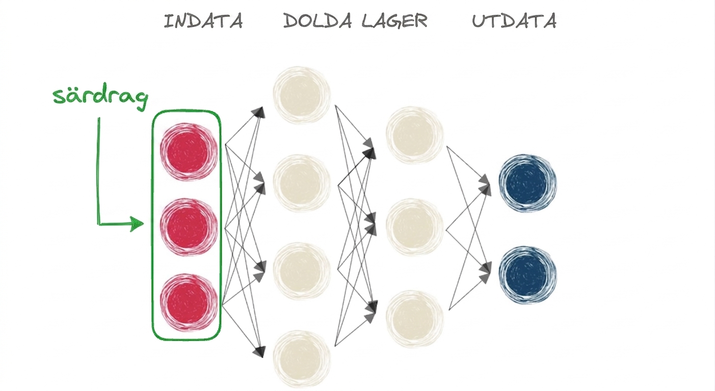 Ett diagram som visar ett neuralt nätverk med ingångs-, dolt lager och utgång