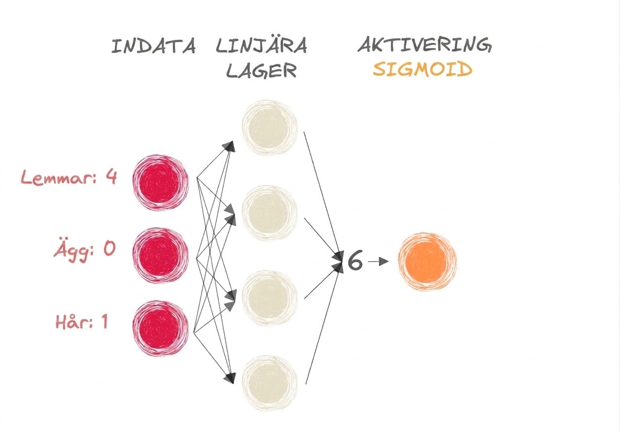 Diagram över en del av ett neuralt nätverk med indata, siffran 6 som utdata till de linjära lagren och en sigmoid-aktiveringsfunktion