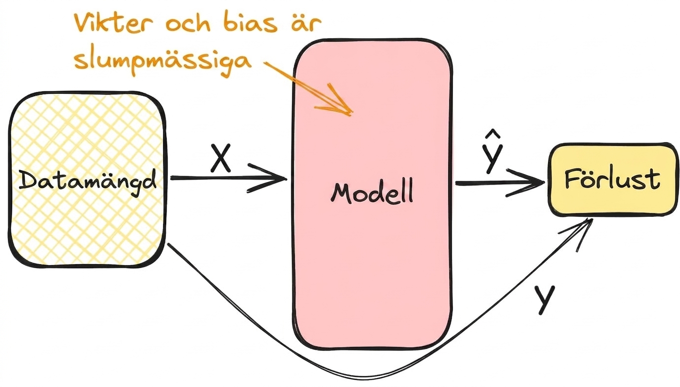 Beräkning av förlust