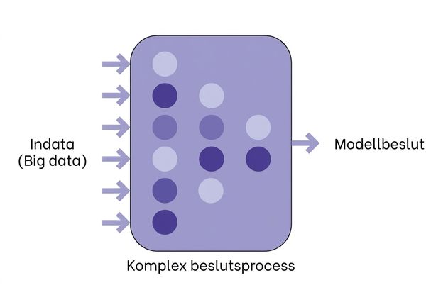 Illustration av AI med datainmatning och modellbeslut.