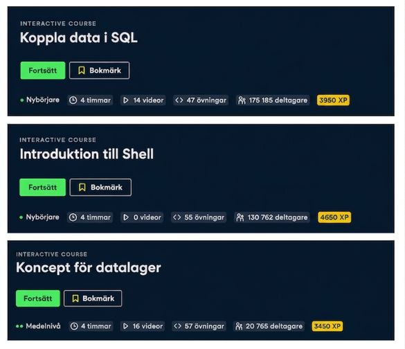 Förkunskaper för kursen