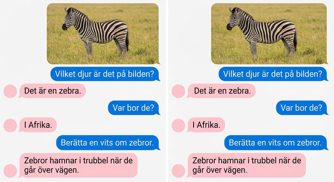 Multimodalt exempel med en LLM som använder text- och bilddata