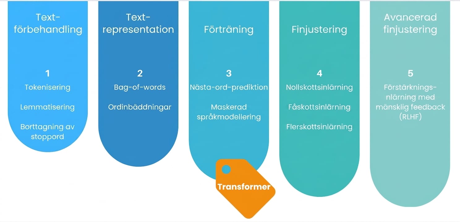 Den fullständiga träningsprocessen för LLM:er