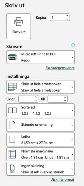Utskriftsinställningar i Excel