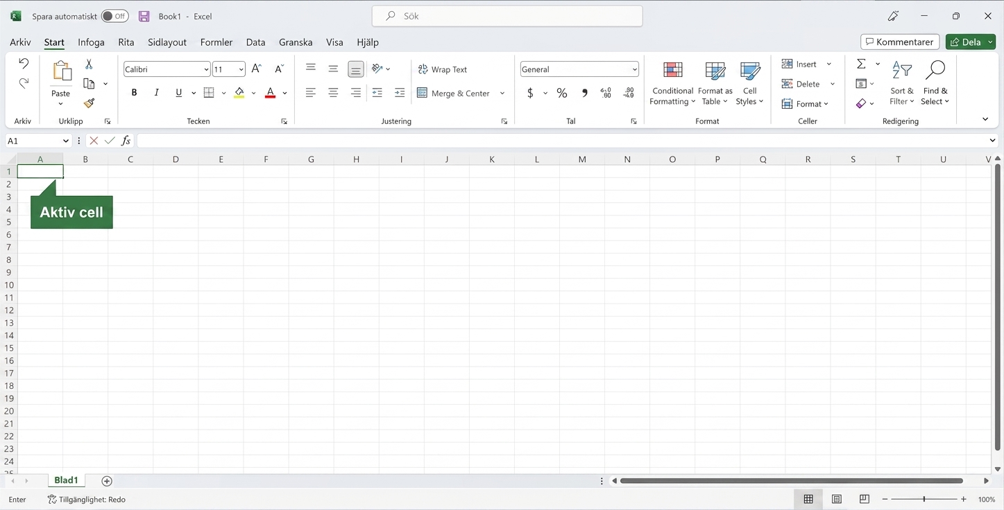 Excel-fil med den aktiva cellen markerad