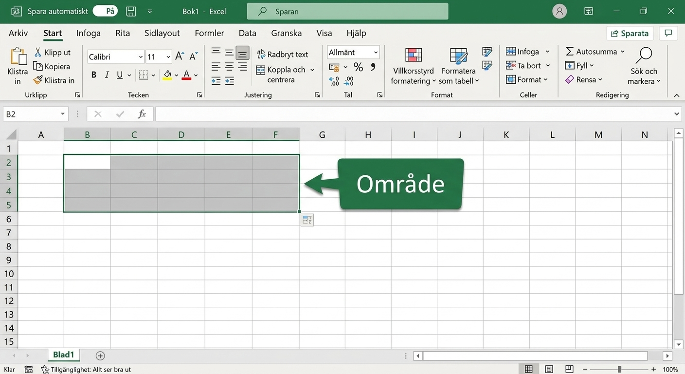 Excel-fil med ett markerat cellintervall