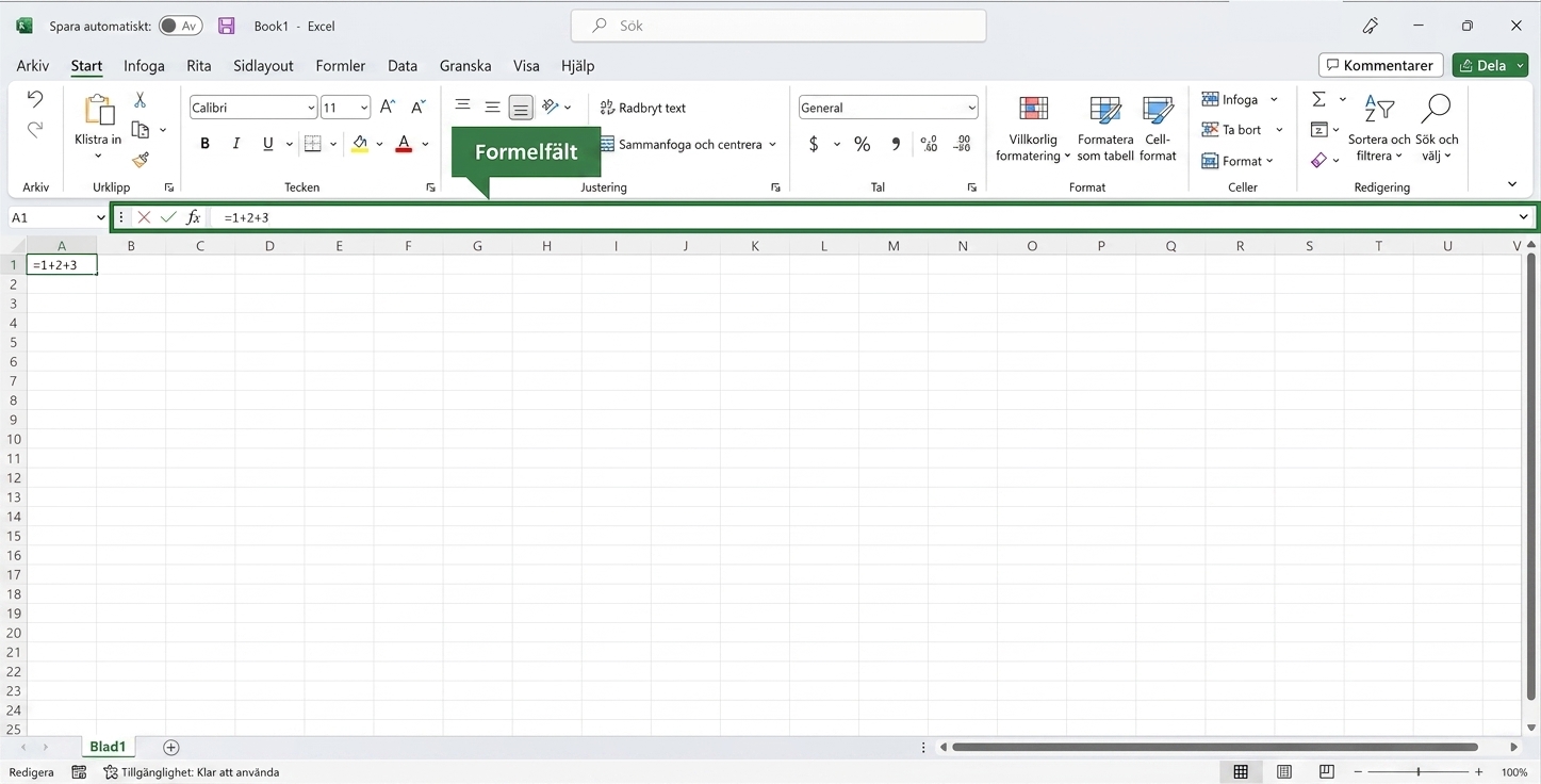 Excel-fil med formelraden markerad